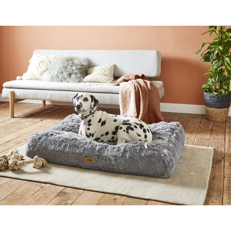 Dynamic Mr Fluffy Friends Dog Bed Abstract in HD